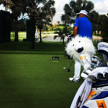 Load image into Gallery viewer, COOL SINGAPURA MERLION HEAD COVER FOR DRIVER - Leyouki